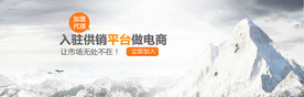 公司文化