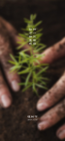 植树节海报