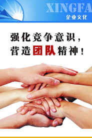 公司文化
