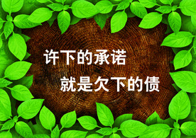 公司文化