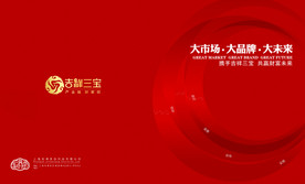 公司文化