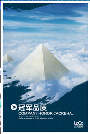 公司文化