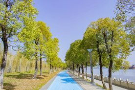 骑行道