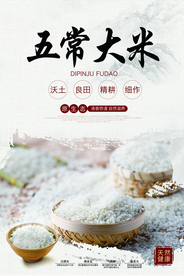 五常大米食材促销活动海报素材