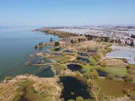 滇池湿地