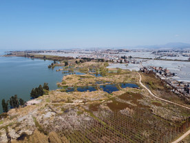 滇池湿地