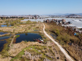 滇池湿地