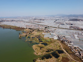 滇池湿地