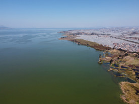 滇池湿地