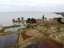 滇池湿地