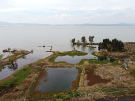 滇池湿地