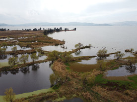 滇池湿地