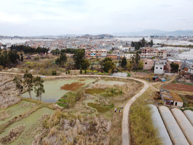 滇池湿地