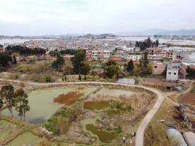 滇池湿地