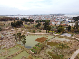 滇池湿地