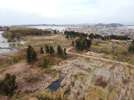 滇池湿地