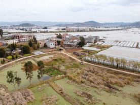 滇池湿地