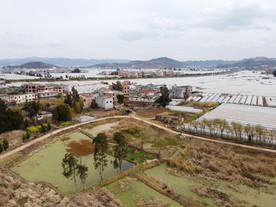 滇池湿地