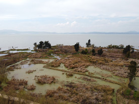 滇池湿地