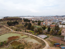 滇池湿地