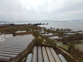 滇池湿地
