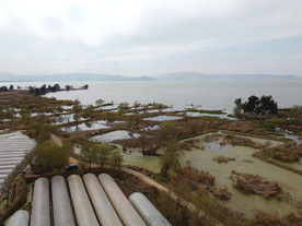 滇池湿地