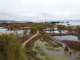 滇池湿地