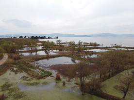 滇池湿地