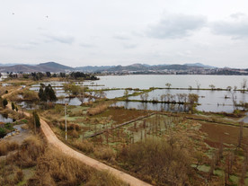 滇池湿地