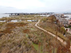 滇池湿地