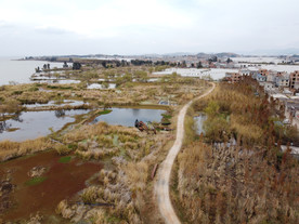 滇池湿地