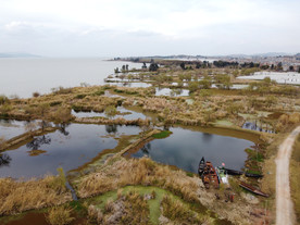 滇池湿地