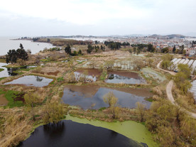 滇池湿地