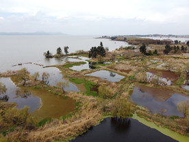滇池湿地