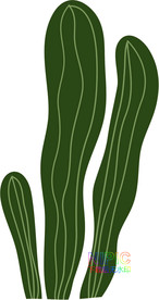 热带树叶eps图形