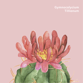 水彩花朵·植物