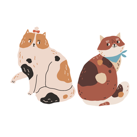 猫