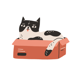 猫
