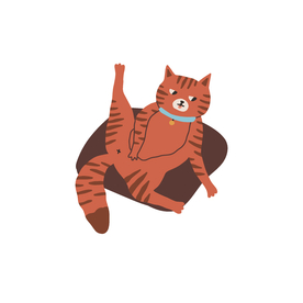 猫