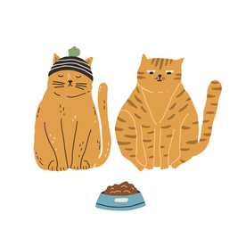 猫