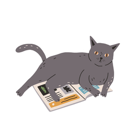 猫