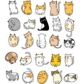 猫