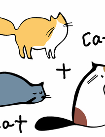 猫