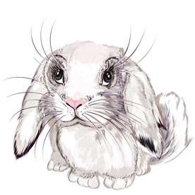 兔子