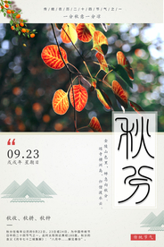秋分节气传统活动宣传海报素材