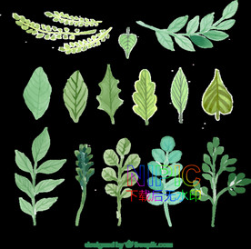 森系插画ai矢量格式