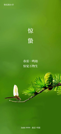 惊蛰节气海报