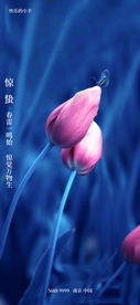 惊蛰节气海报