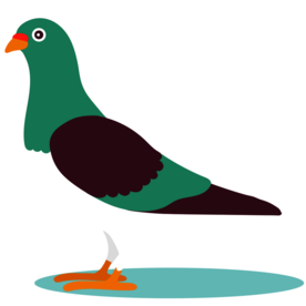 可爱小鸟标签标志合成素材