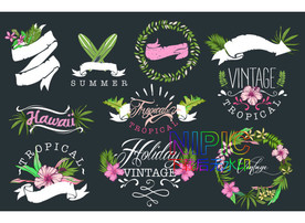 衣服eps模板下载